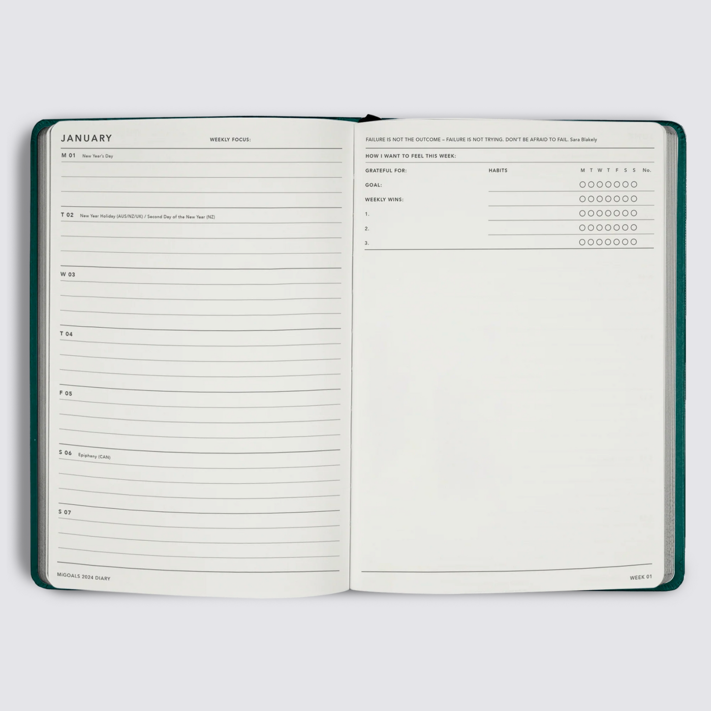 Diary weekly view 2024