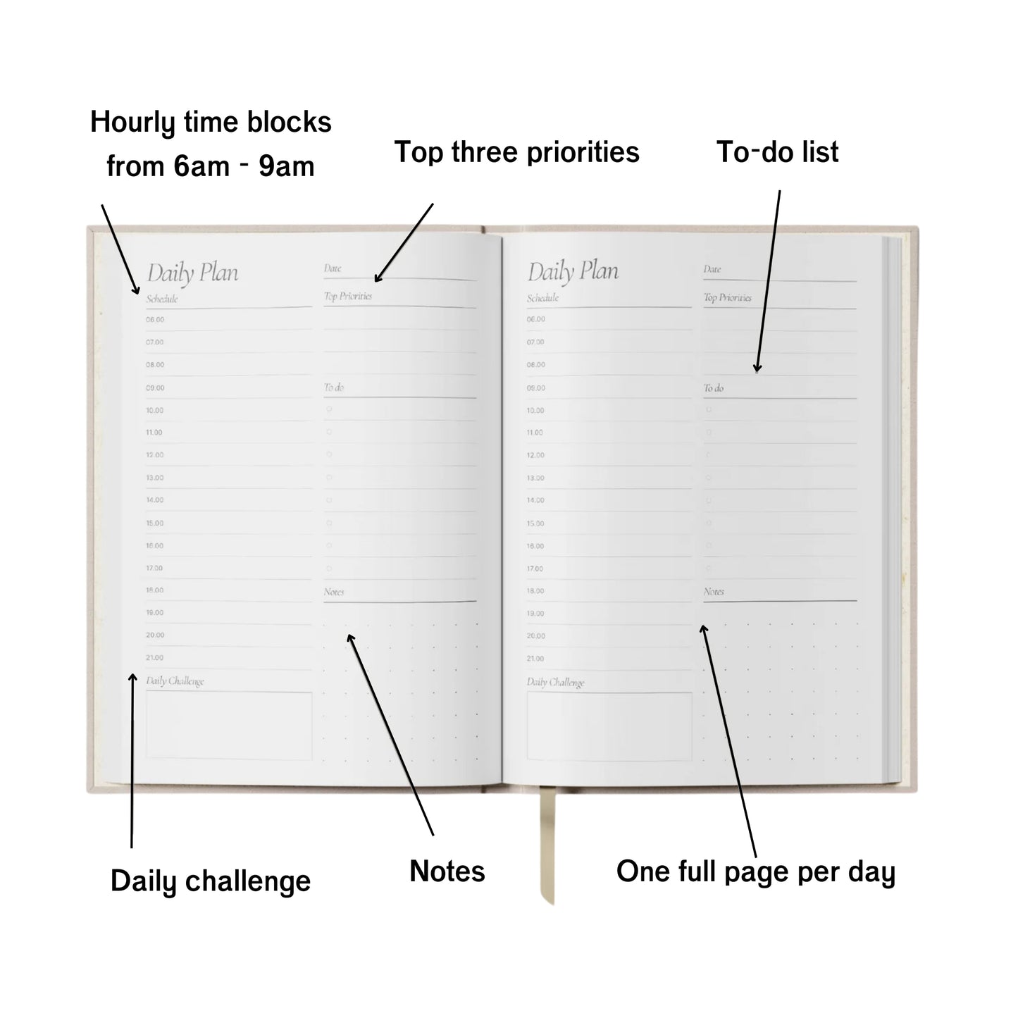 Undated Daily Planner -  Purple and Orange