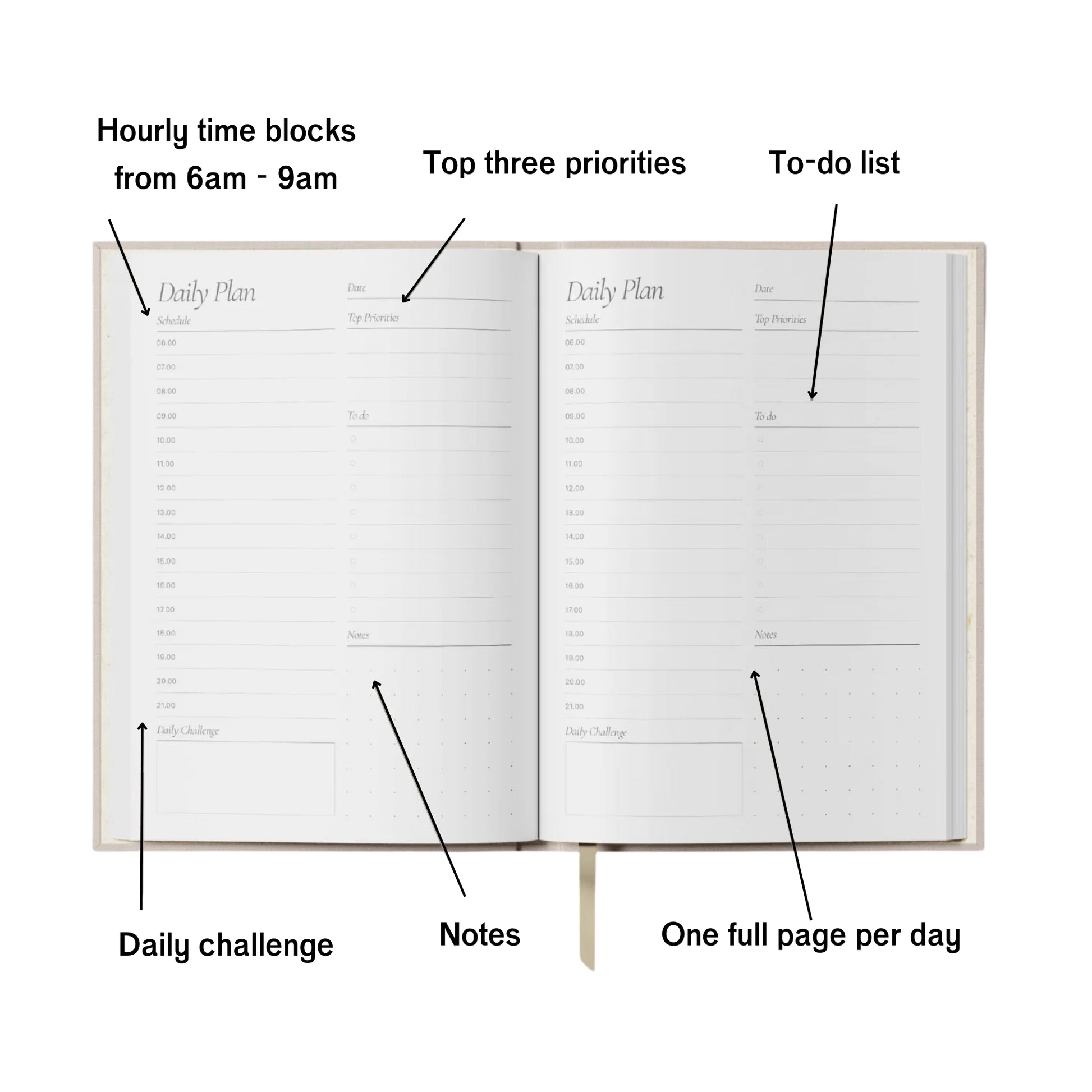 Undated Daily Planner -  Purple and Orange