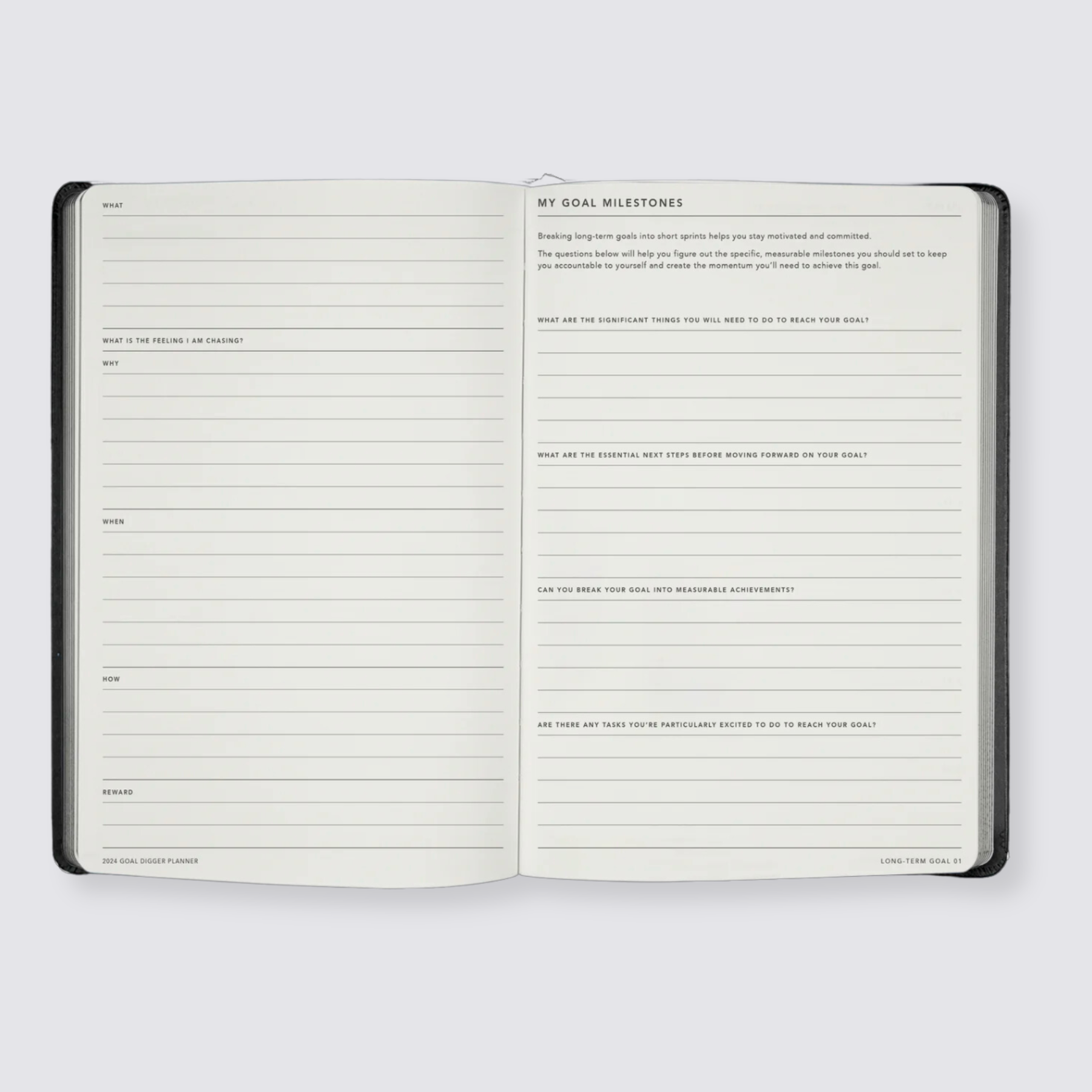2024 Goal Digger Diary - Classic / Element Blue