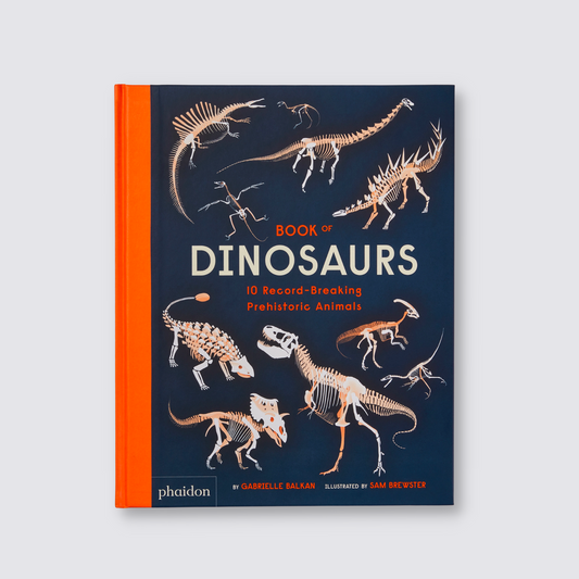 Book of Dinosaurs