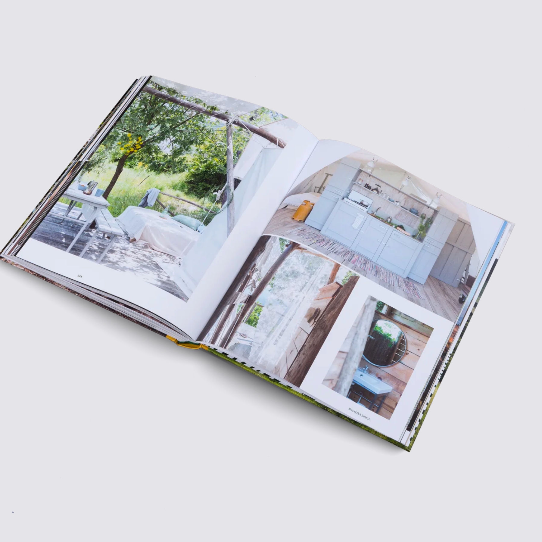 Stay Wild