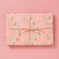 Deco shells in pink gift wrap