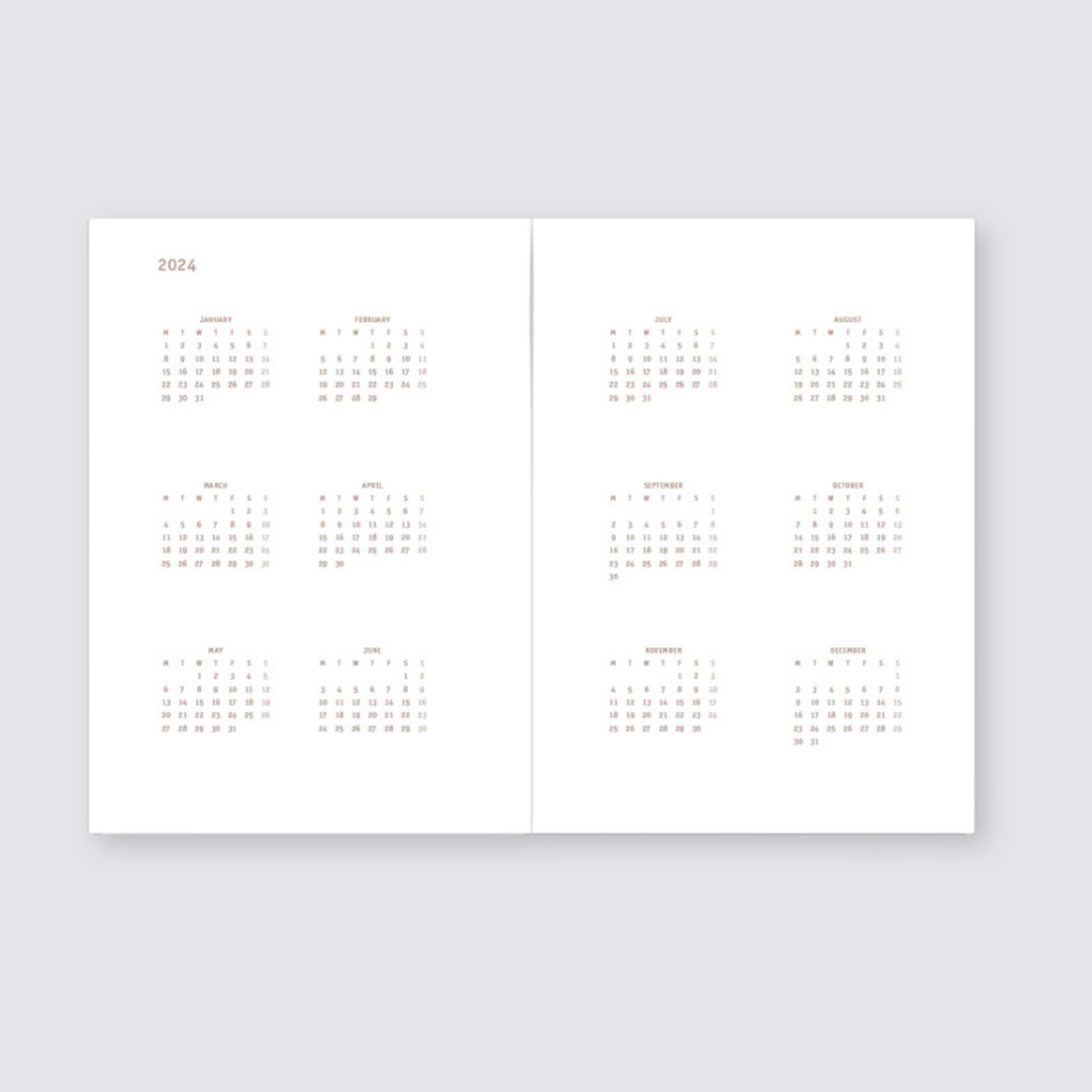 Everyday 2024 Daily Calendar - Biscuit