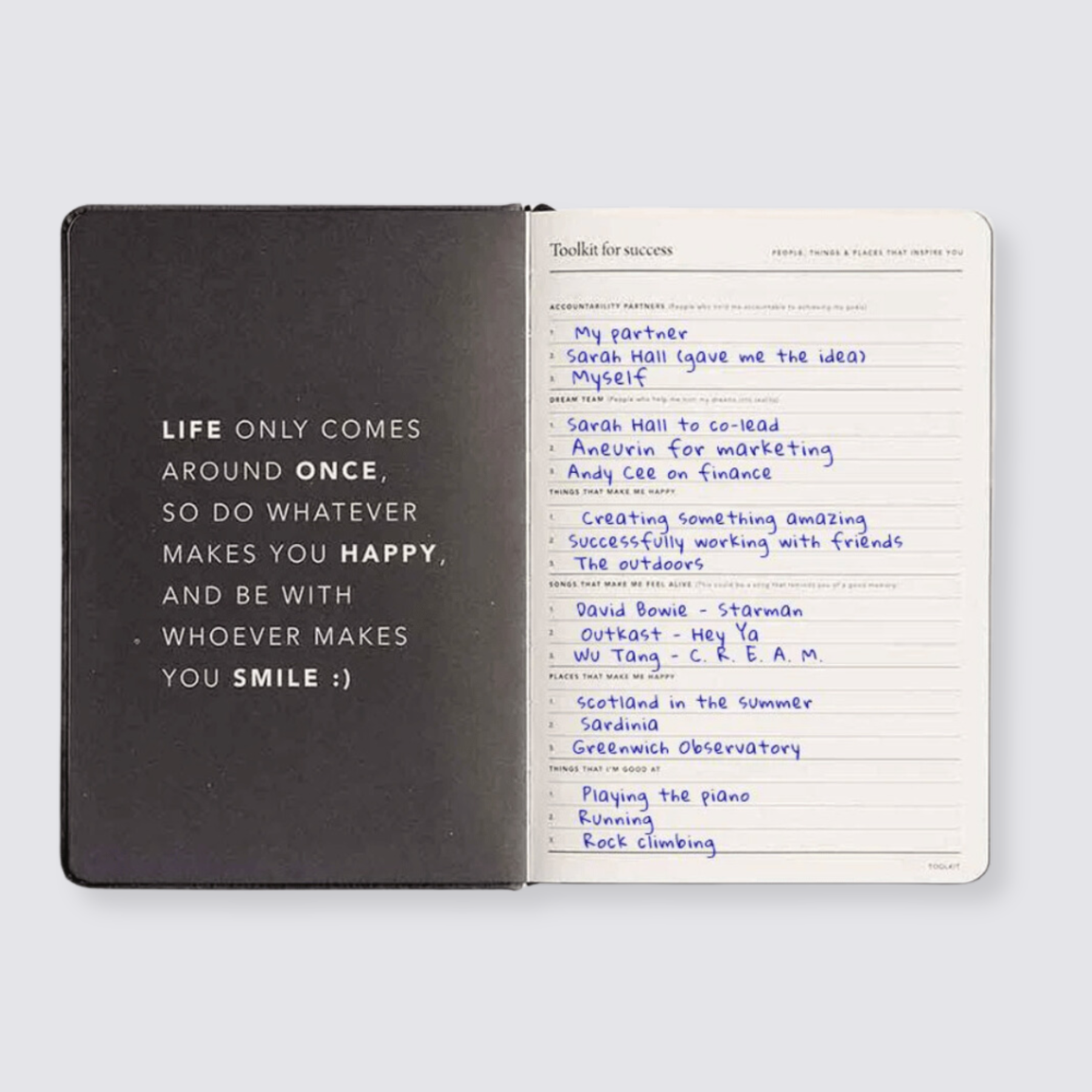Goals Journal - Pink