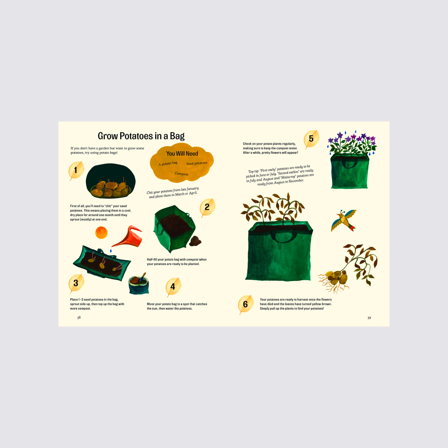 Little Green Fingers