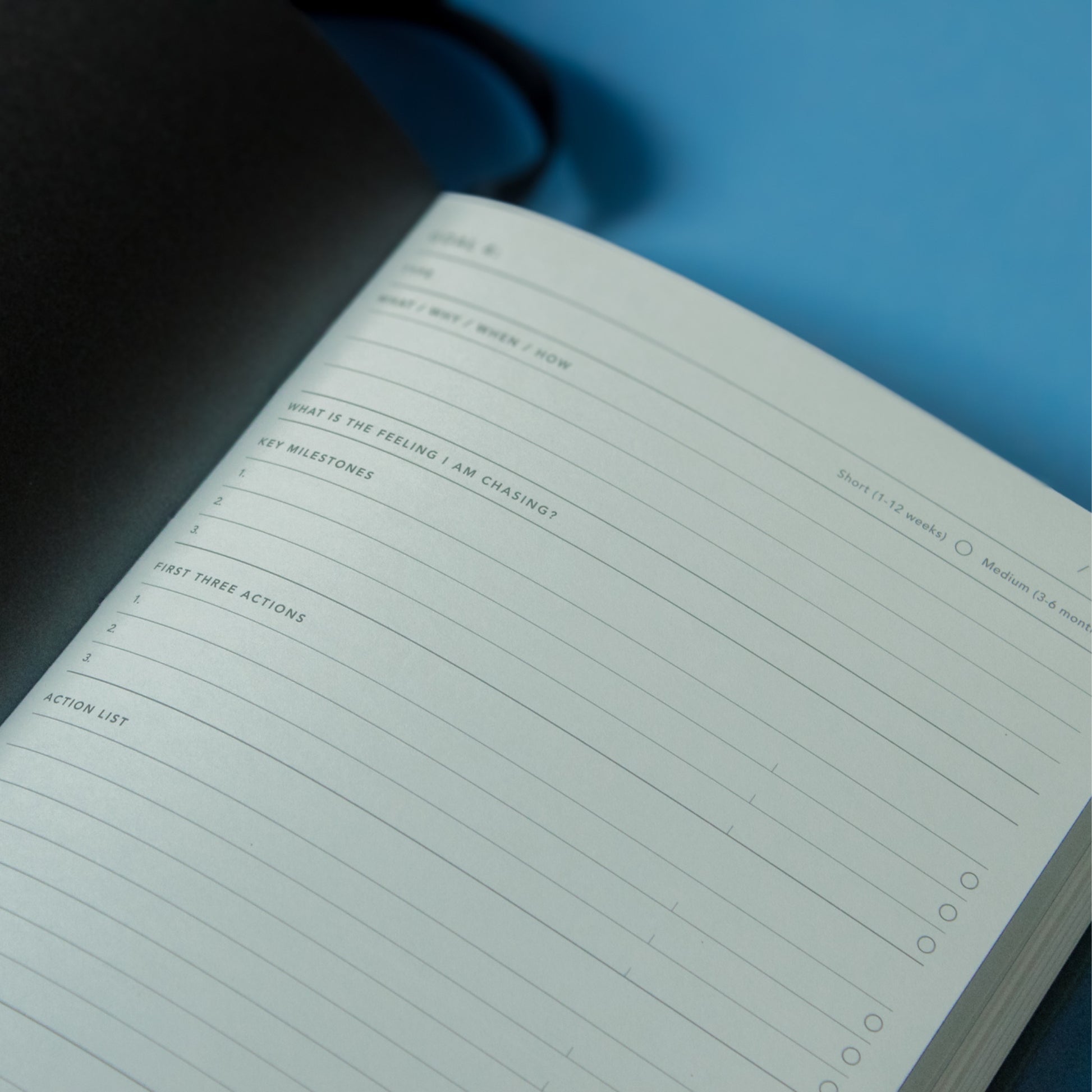 2025 Goal Digger Diary - Bold / Black