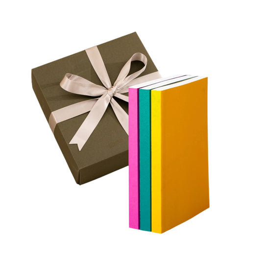 Paperback Trio Notebook Set - Brights