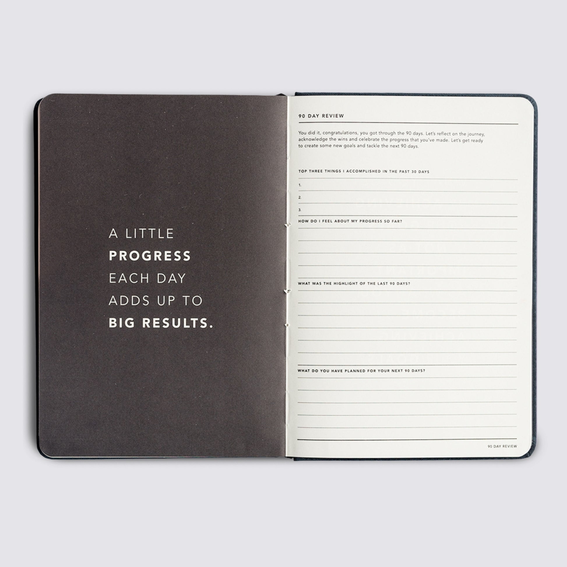 Progress Journal - Lilac