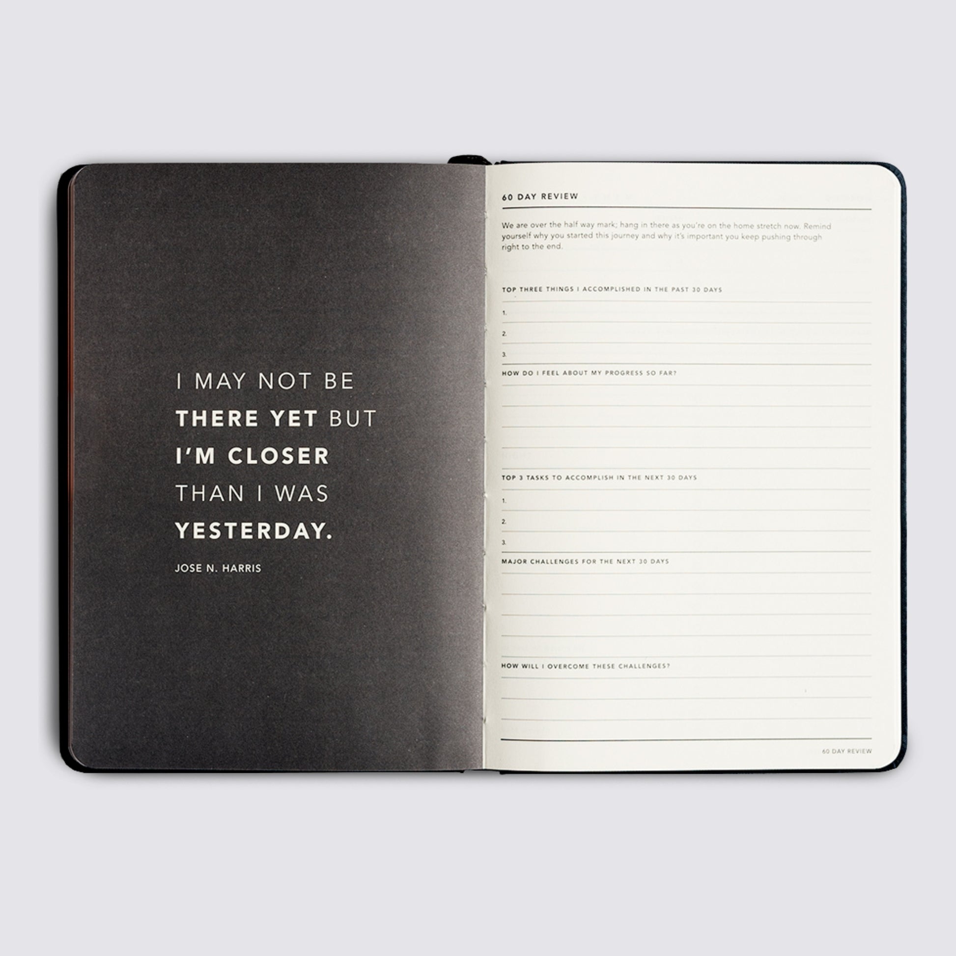 Progress Journal - Lilac