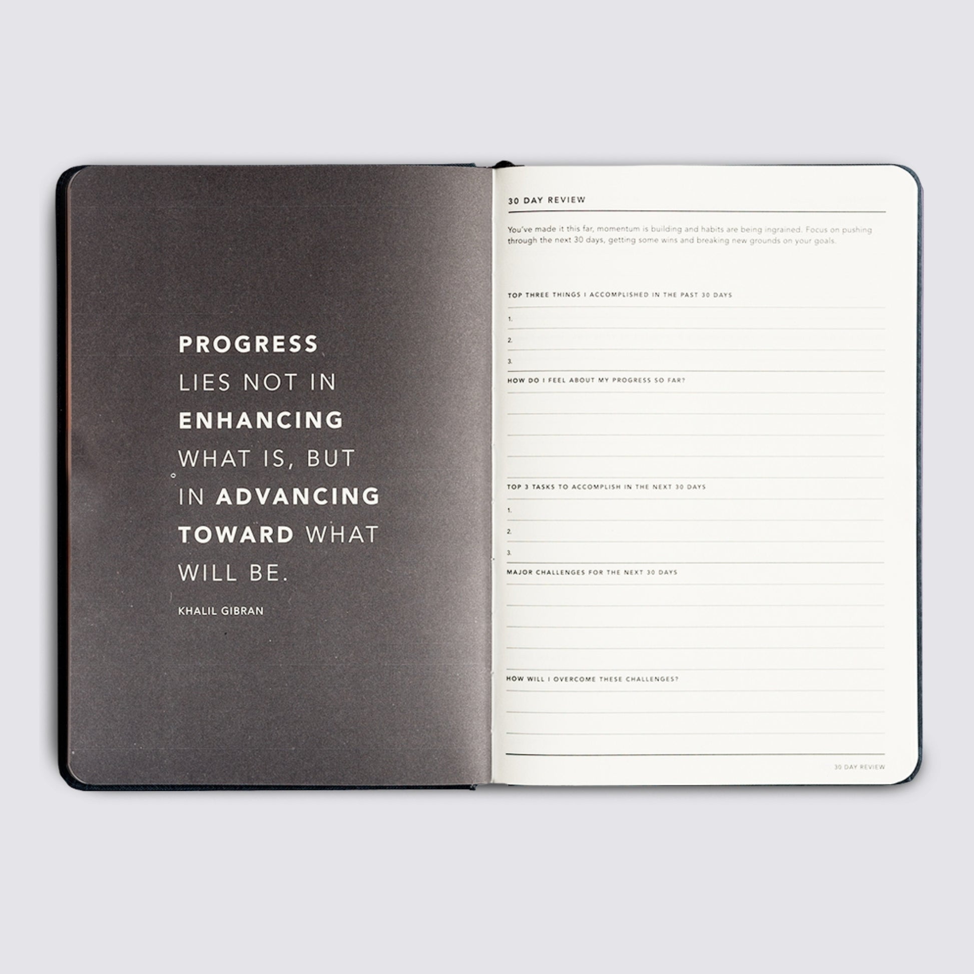 Progress Journal - Lilac