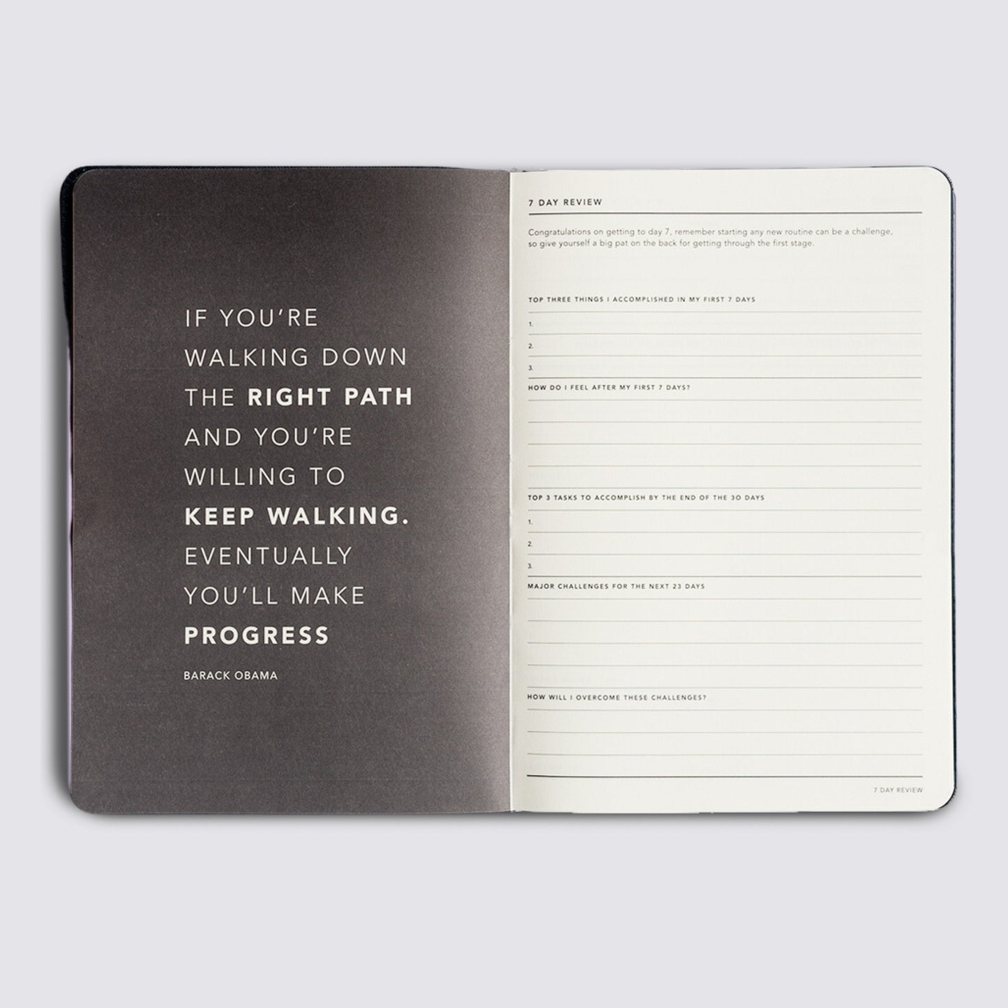 Progress Journal - Lilac