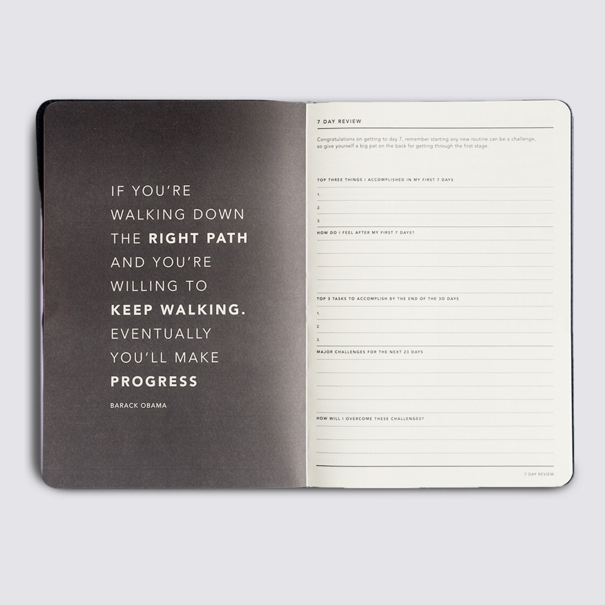 Progress Journal - Lilac