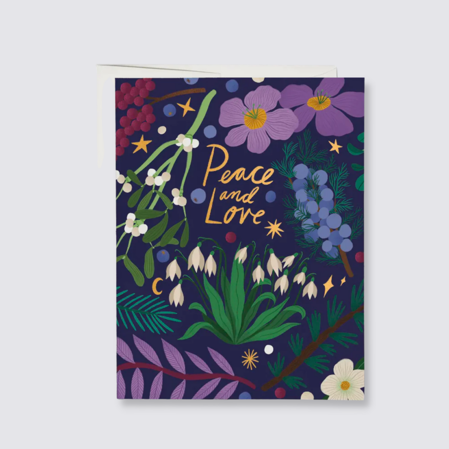 Winter Botanicals - Set of 8