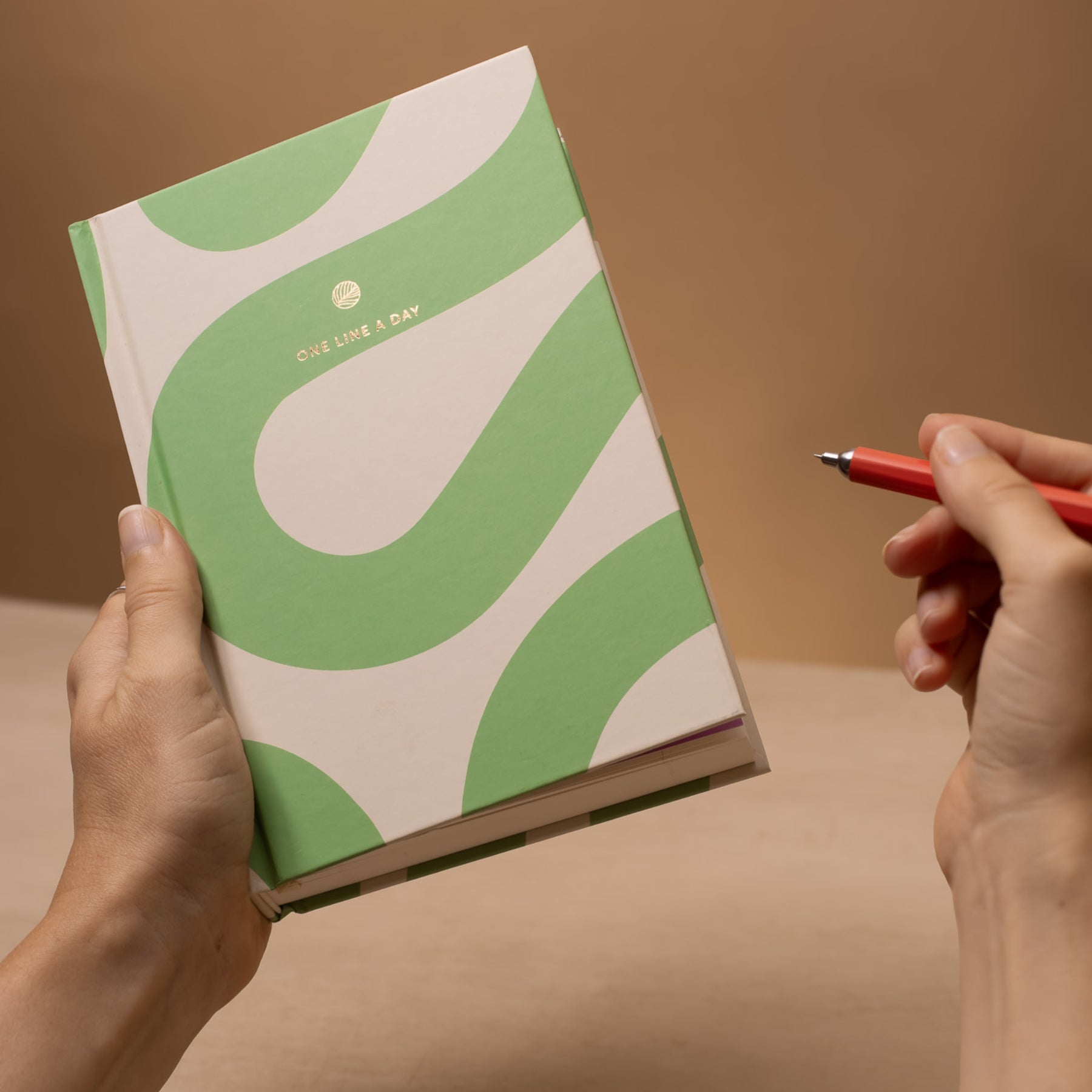 One Line A Day Journal - Mint Wiggle