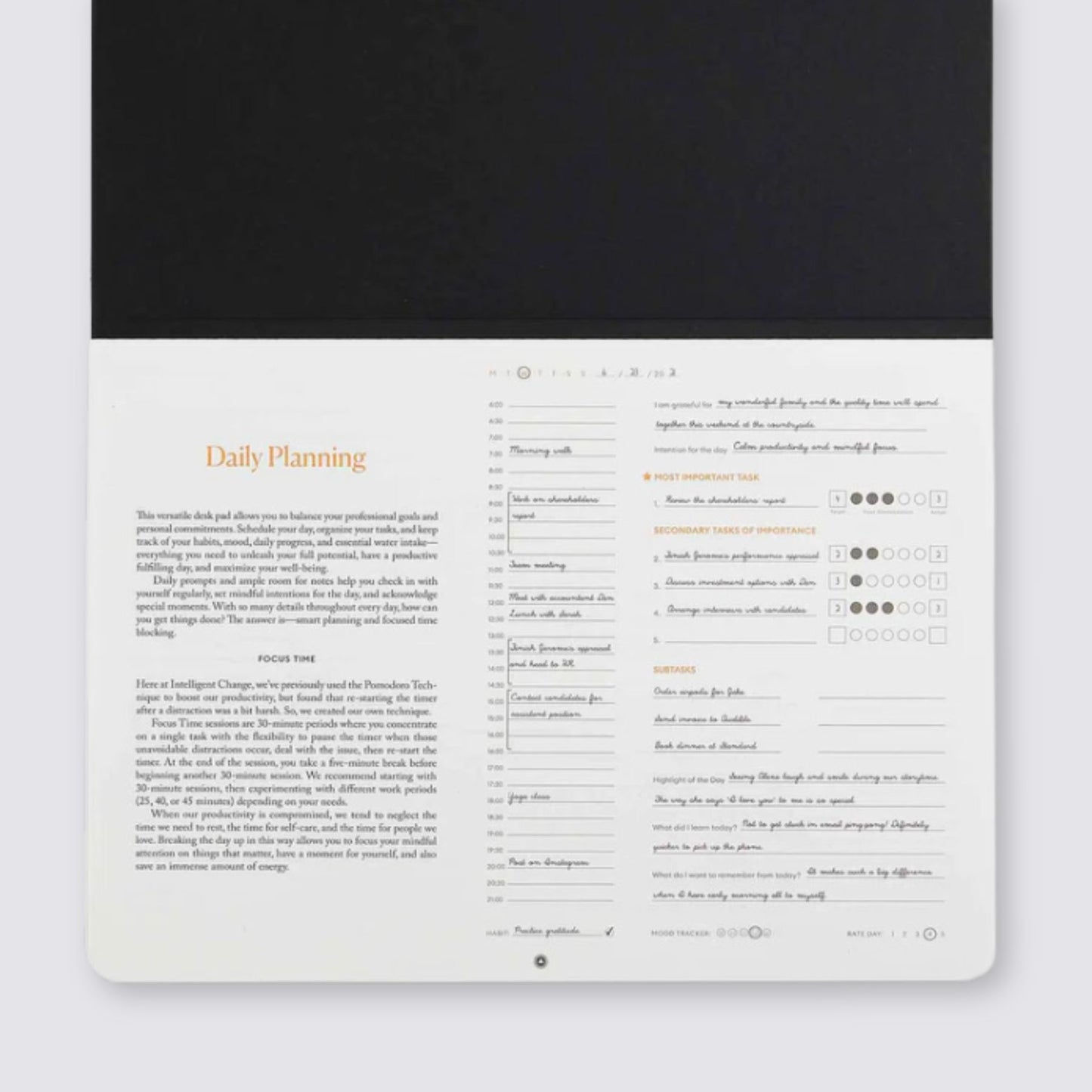 daily desktop planner