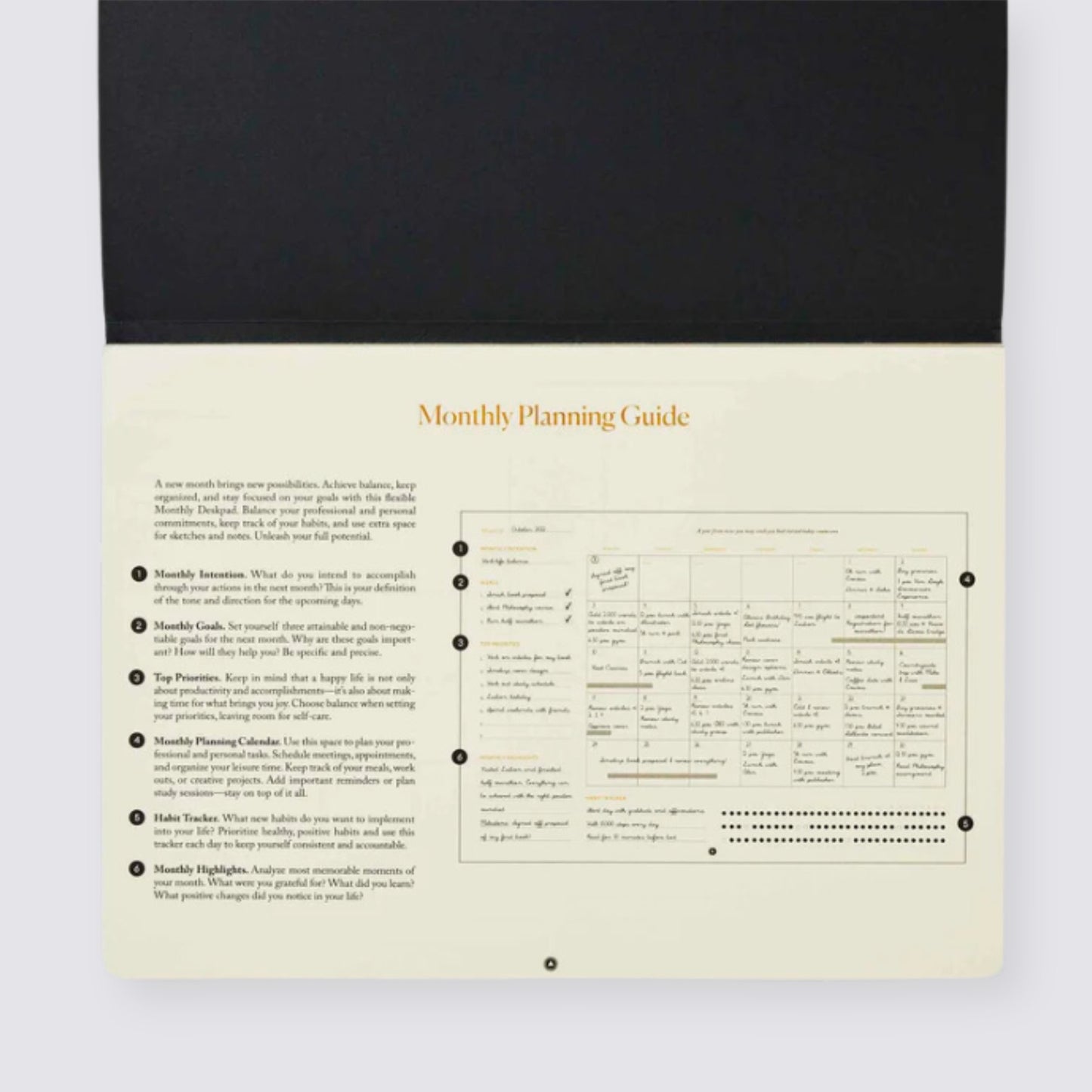 Productivity Planner Monthly Desk Pad Calendar