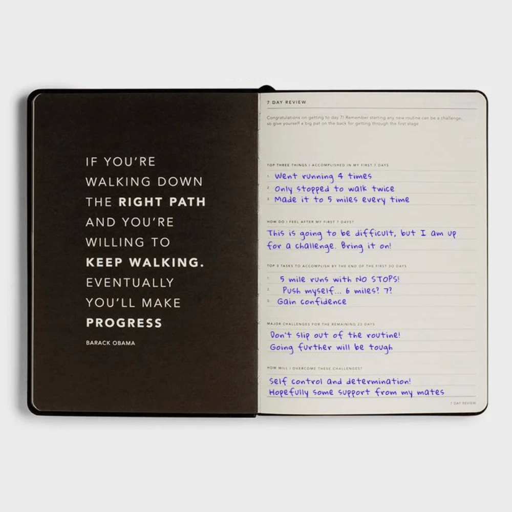 Progress Journal