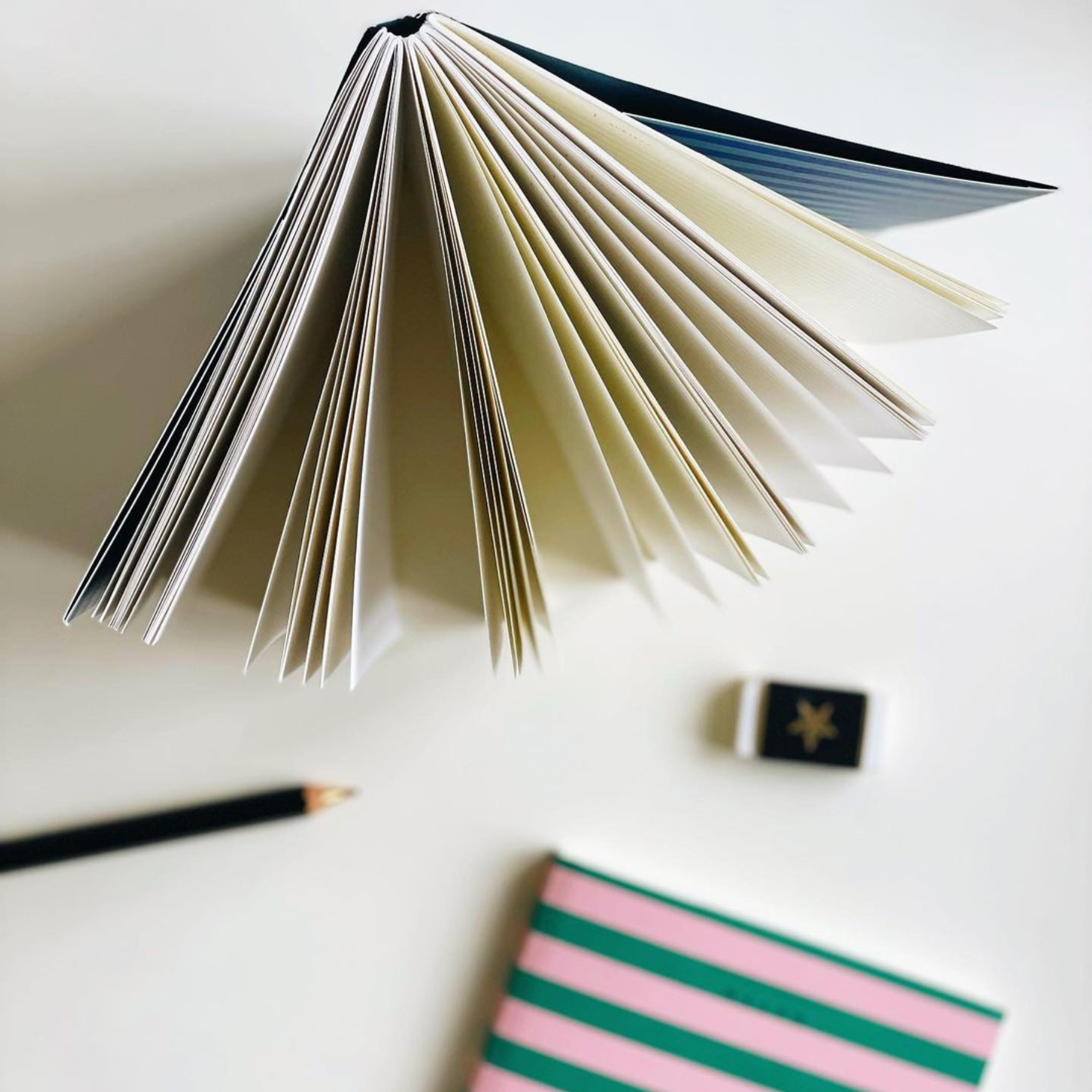 Uma Ruled Notebook  - Medium / Blue Stripe