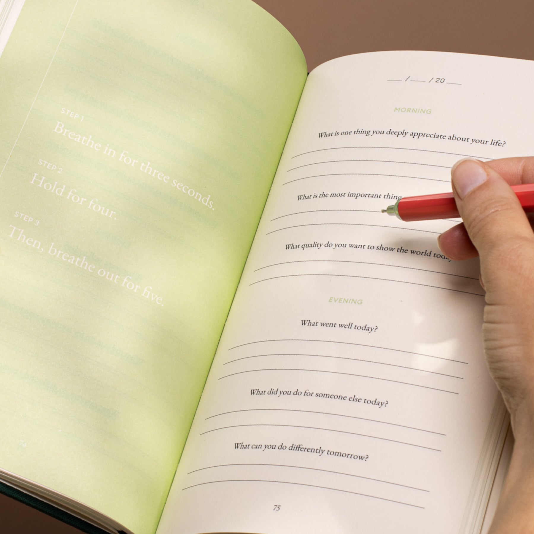 The Three Question Journal - Green