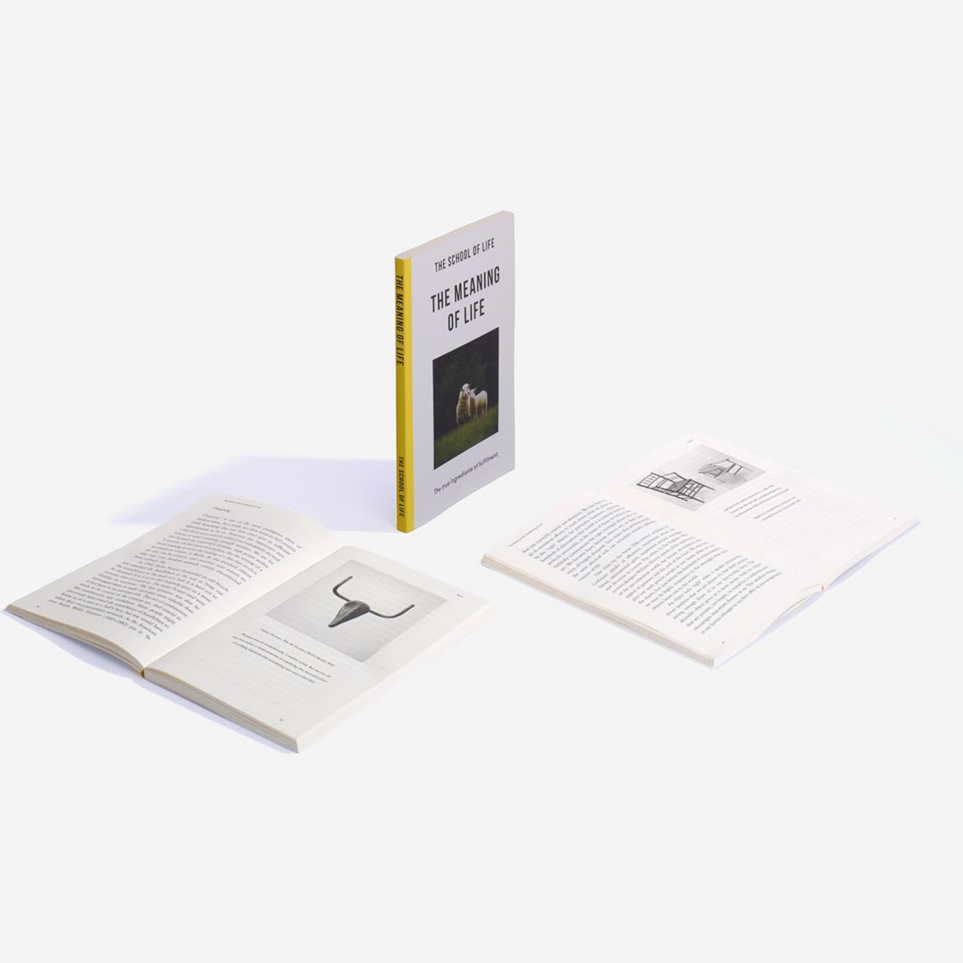 The Meaning of Life Book
