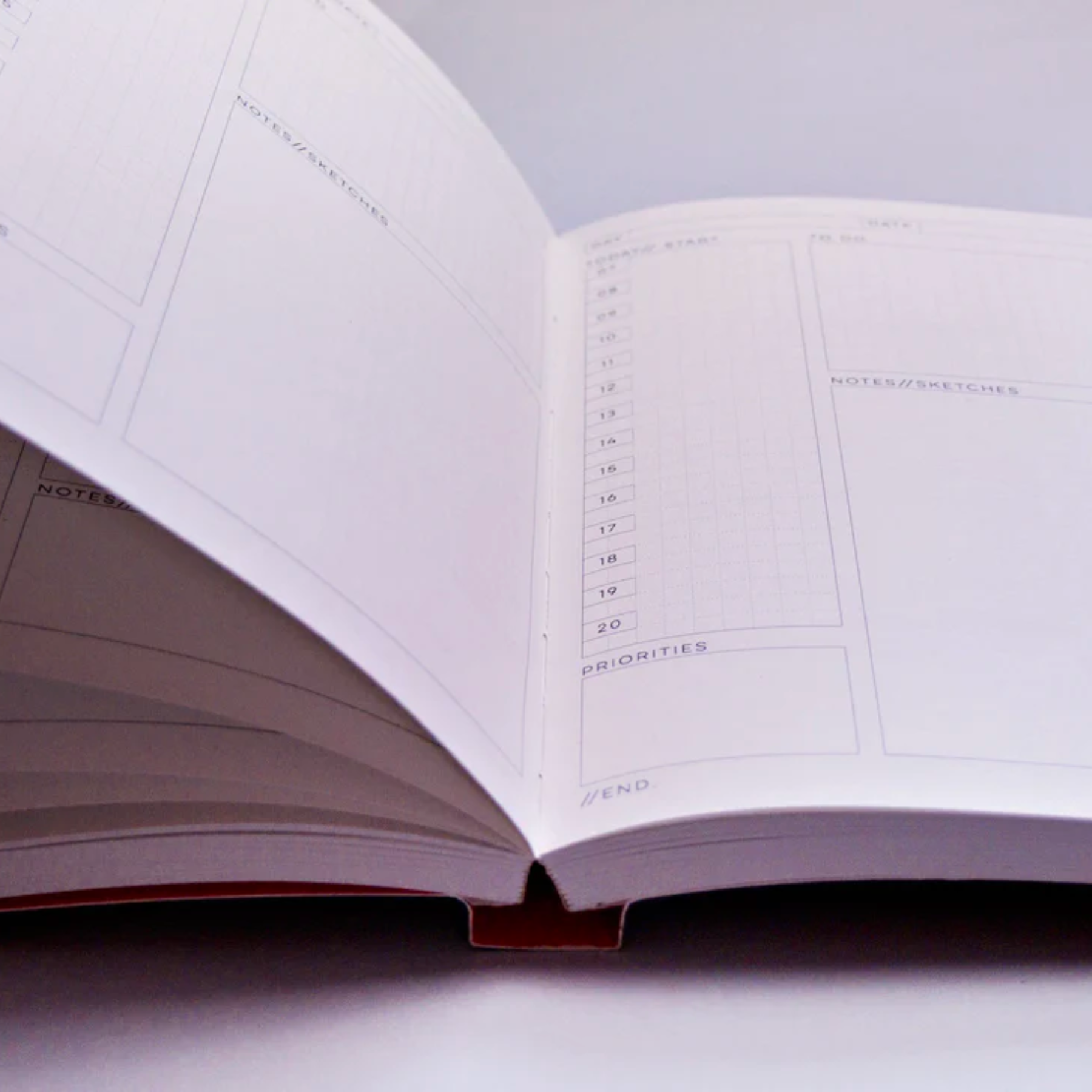 The Daily Planner Undated - Amwell