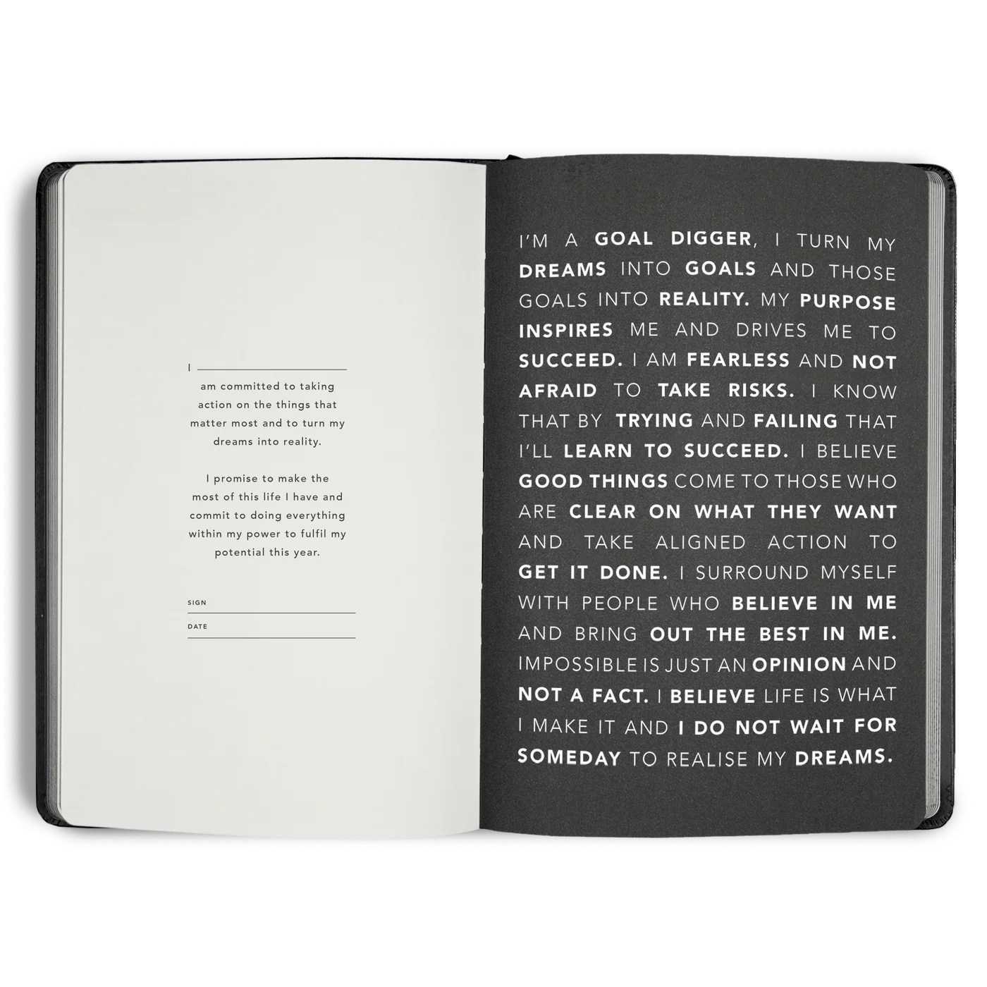 2026 Goal Digger Diary - Bold / Element Blue