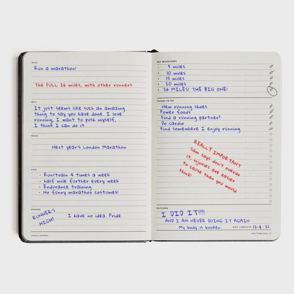 Goals Journal - Pink
