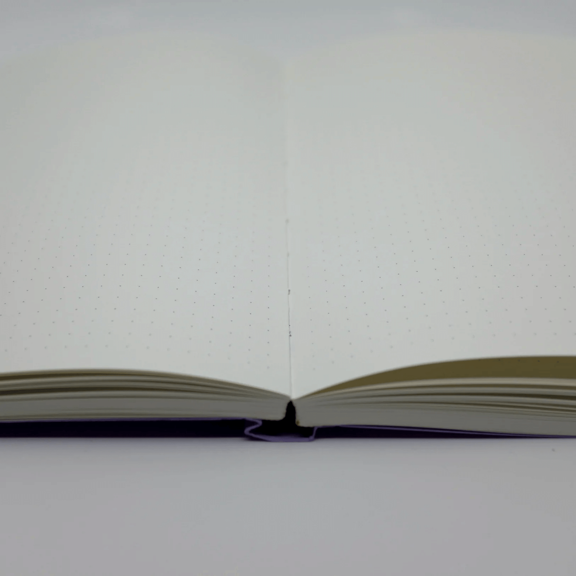 Fuchsia Notebook