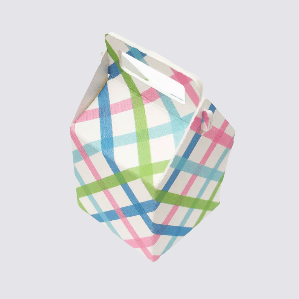 Gift Box - Pastel Gingham
