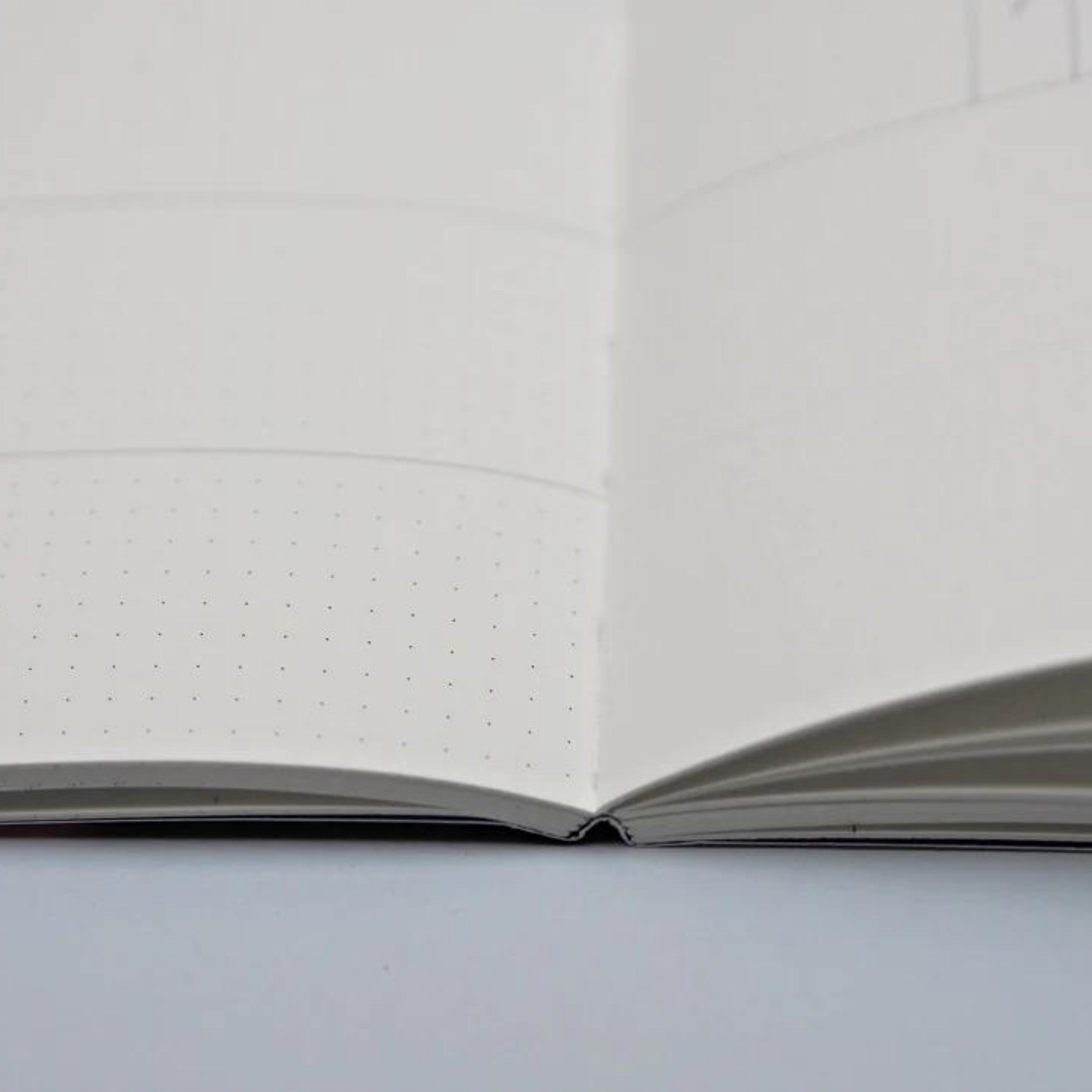 Weekly Undated Planner Algebra No. 1 - Pocket Size