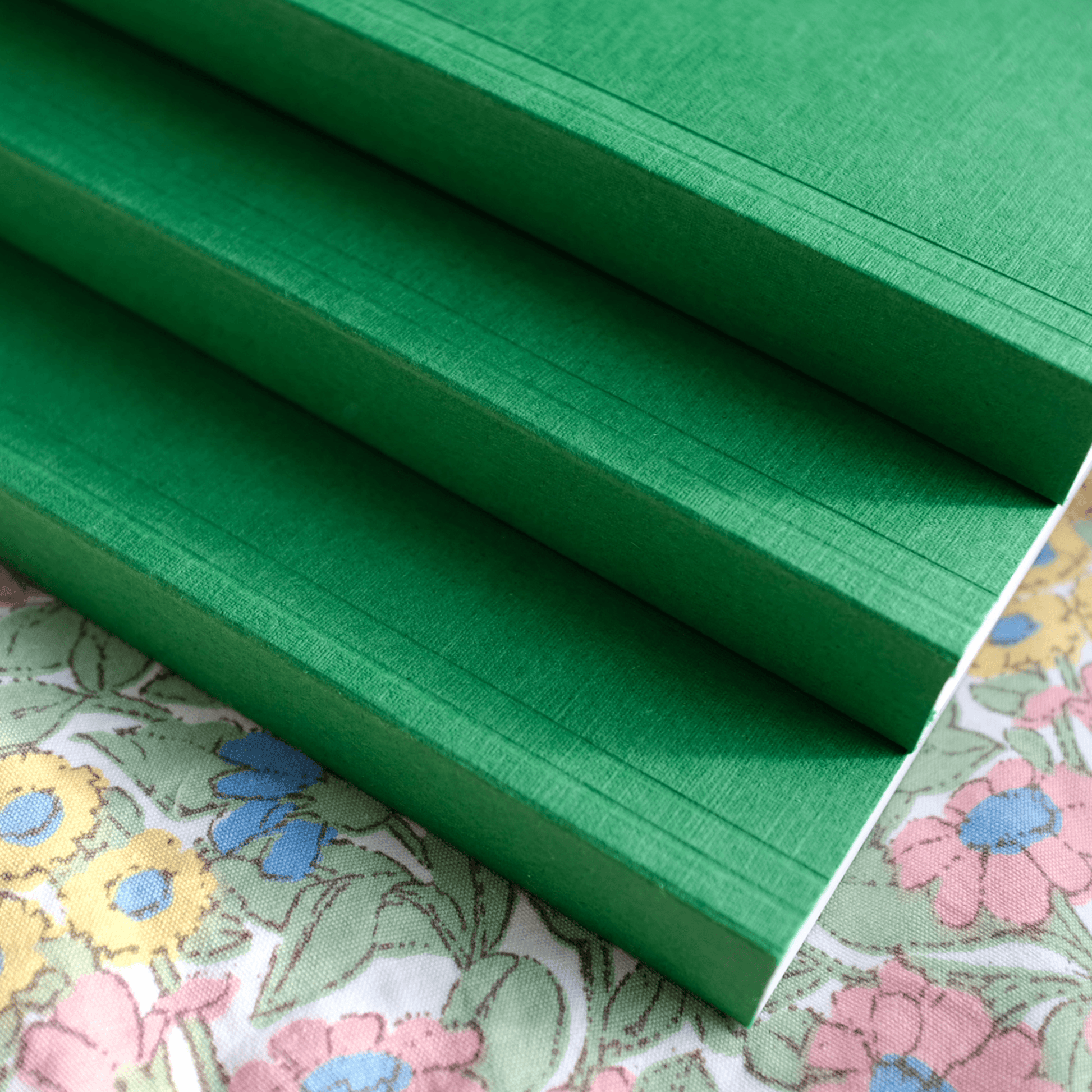 Clissold Notebook